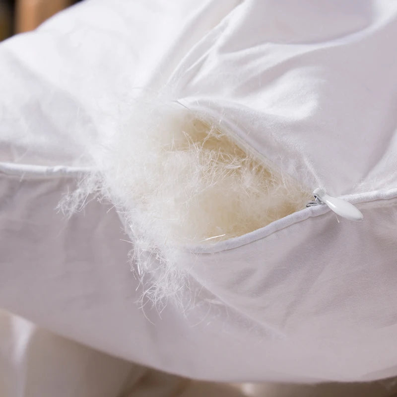 Hac47a35066a3470e97ef0451b5008aeek