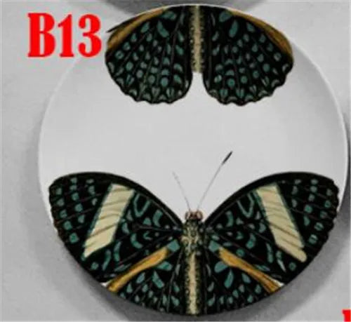 S08d85baad0a04cc4b44ba681191aa250p