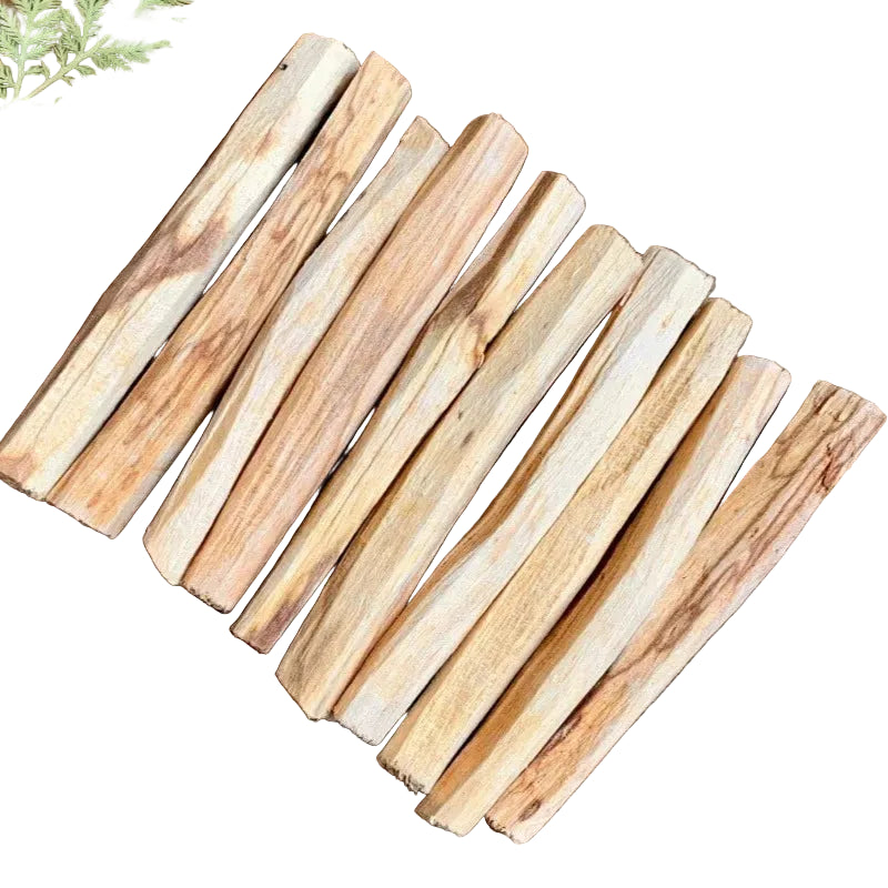 S529736b54088411fab7eddbbcae8ee33P