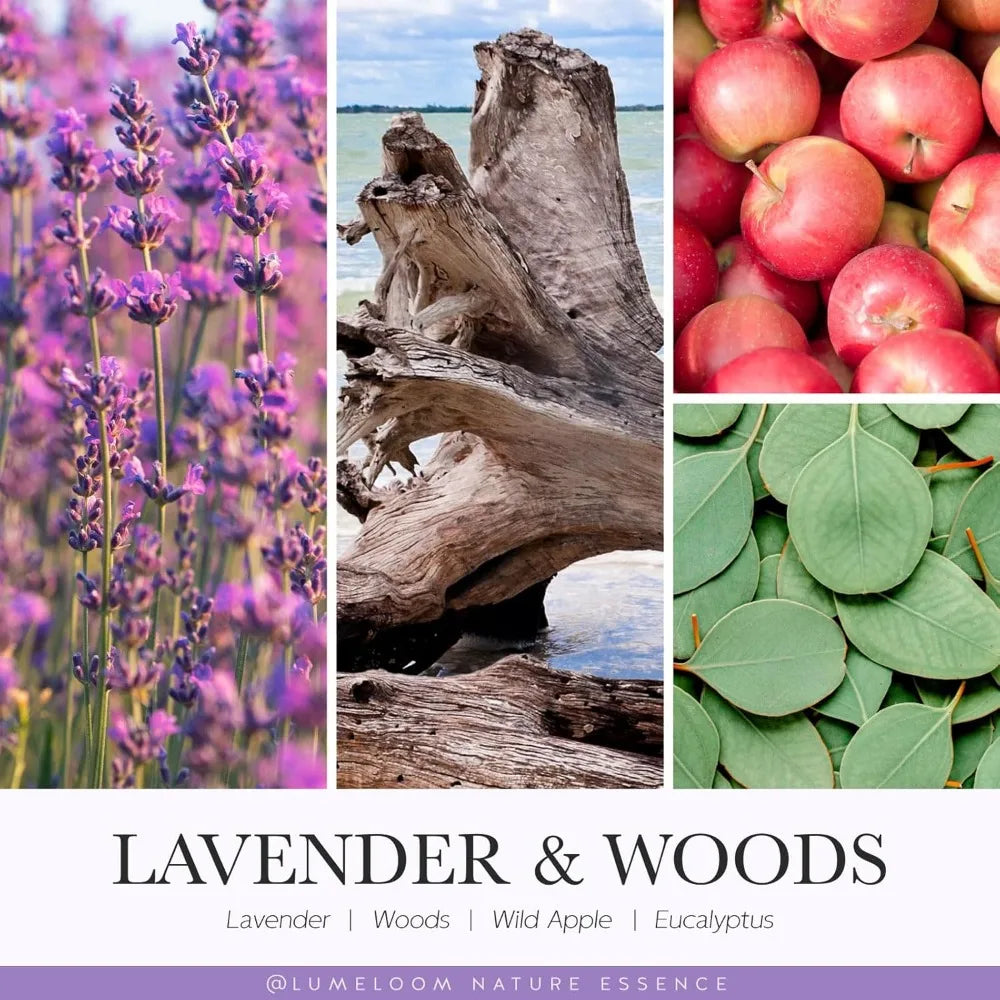 S5ba3b7c9cbe34c809a396e2d648197e4o